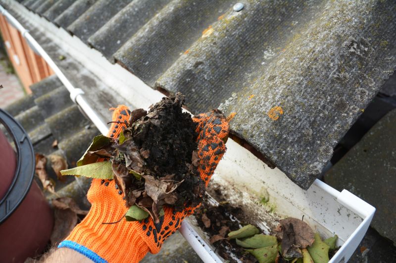 Gutter Cleaning in Boulder, CO