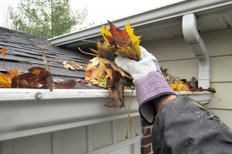 Gutter Leaf Clearing in Long Island, NY