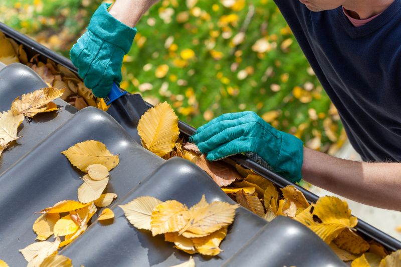 Gutter Leaves Removal in Morris County, NJ
