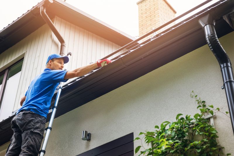 Roof Gutter Cleaning in Bergen County, NJ